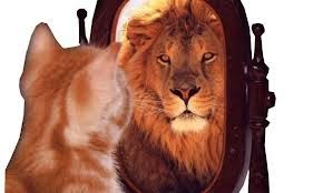 como ser lider de una organizacion multinivel, network marketing, mercadeo en red como ser lider, liderar, patrocinar, organizacion, multinivel, network marketing, mercadeo en red